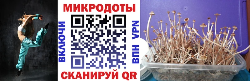 KRAKEN зеркало  Гороховец  Псилоцибиновые грибы Cubensis  купить наркоту 